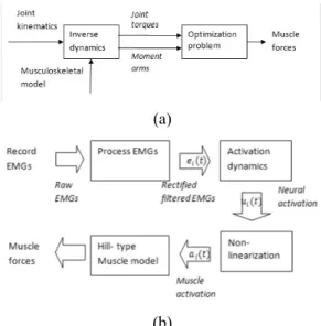 Fig. 2 Schematic diagrams of motion analysis based muscle force prediction and EMG-based muscle force estimation (12) 였다(Fig
