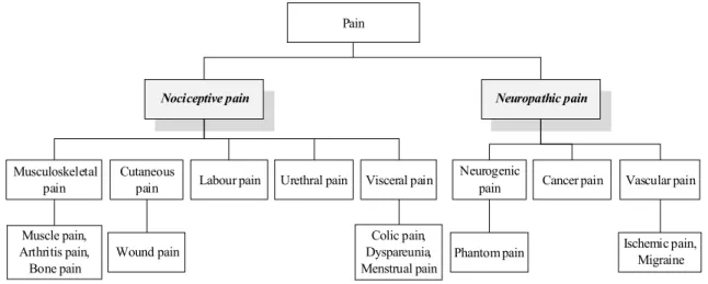 Figure 1. Hierarchy of pain concepts.