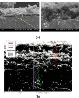 Fig. 11 (a) SEM images of the fractured single cell, and  (b) EDX spectrum of single cell after experiment 