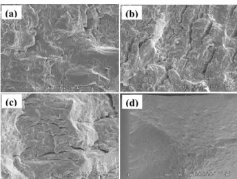 Fig.  9  Fractography  of  LCF-tested  specimens.  (a)  as  received  at  ∆ε t /2=0.2%,  (b) water  quenched  at 