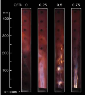 Fig. 13 Flame image in the case of CO 2 -mixed oxygen  combustion (volume flow rate of CO 2 : 30 l/min)  (27) 지  않았다고  보았다