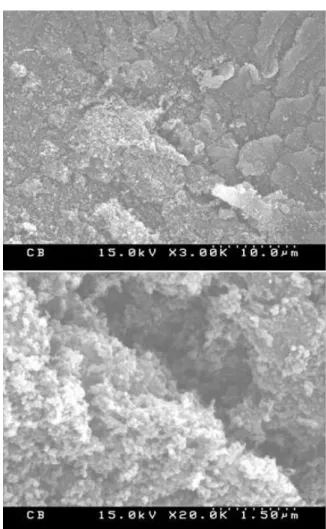 Fig. 10 Effect of 'P' treatment of CB on the tensile modulus