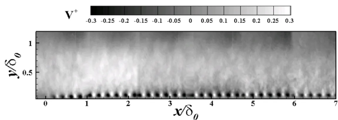 Fig. 3 Iso-contour of wall-normal mean velocity on a rough wall turbulent boundary layer Nucleonics, BNC-555)에 의해 동기화 되었다