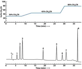 그림  19.  Benzothiazole  계와  benzothiazolesulfenamide  계  가황촉진제의  화학  구조.