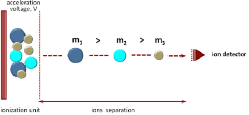 그림  10.  비행시간  질량분석기(time-of-flight  mass  spectrometer,  TOFMS). 