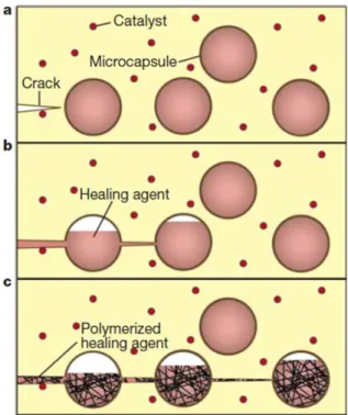 Figure  1.  The  microcapsule  based  extrinsic  self-healing  concept  reported  by  White  et  al