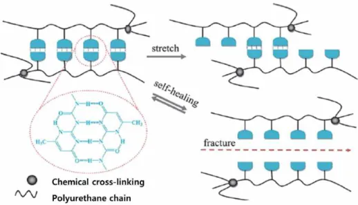 Figure  4.  The  schematic  model  for  self-healing  of  the  hydrogels  by  quadruple  hydrogen  bonding  [14].