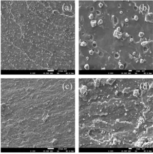 Figure 1. FE-SEM micrographs of starch (20 phr)/SBR biocomposites prepared by two methods: solid blend method, scale bar: (a) 100 μm and (b) 10 μm; latex blend method, scale bar: (c) 100 μm and (d) 10 μm.