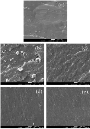 Figure  5.  FE-SEM  micrographs  of  composites:  (a) neat SBR, (b) starch/SBR, (c) g-PBA/SBR, (d)  ST-g-PMMA/SBR, and (e) ST-g-PS/SBR; scale bar: 10 µm.