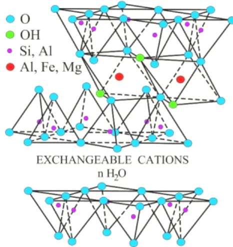Figure 1. Structure of Montmorillonite clay.