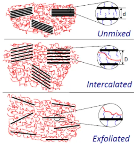 Figure 2. Schematic representation on the dis- dis-persion states of clay filled elastomers.