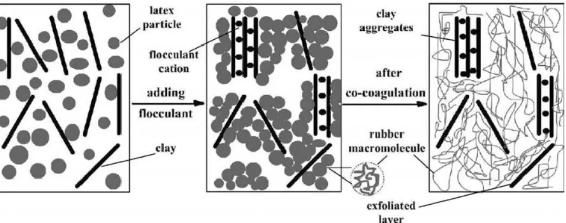 Figure  3.  Schematic  representation  of  elastomer/  clay  nanocomposites  prepared  through  latex  co-  coagulating technique.