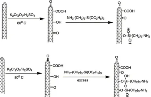 Figure 5. Schematic representation of carbon nanotube functionalization.