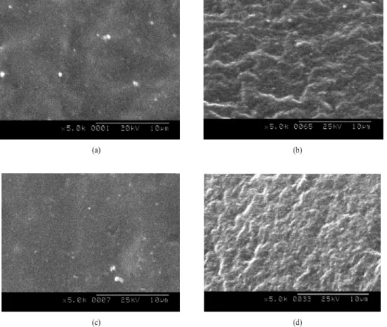 Figure 7. SEM photographs of silica agglomerates (a) the S4 unvulcanized, (b) the S4 vulcanized,  (c) the S2 unvulcanized, (d) the S2 vulcanized at 5,000 magnifications.