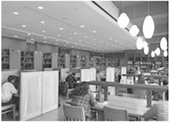 Figure  5. Underground Stacks, for  3 Floors with skylight