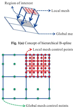 Fig.  1(b)  Configuration  of  control  points  in  global  and  local mesh 