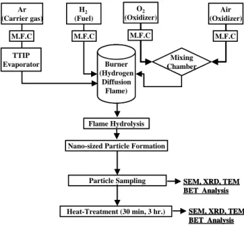 Fig. 1 Experimental procedure