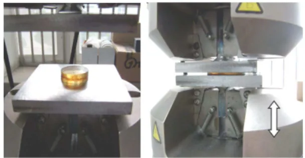 Fig. 6  Uniaxial  compression  test  of  urethane  pad  materials using material test machine 