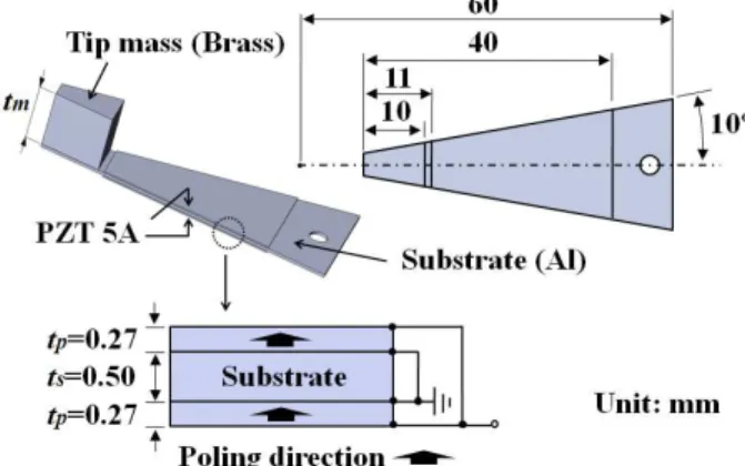 Fig. 2 Constituent piezoelectric energy harvesting unit in  bimorph  connected  in  parallel  and  related  dimensions  (t m =10  mm  (Unit  1),  9.5  mm  (Unit  2)  and 9 mm (Unit 3), respectively)   