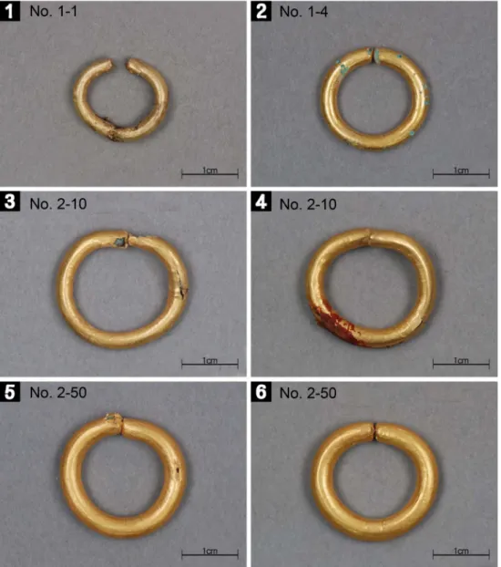 Figure 1. The target earrings for analysis.