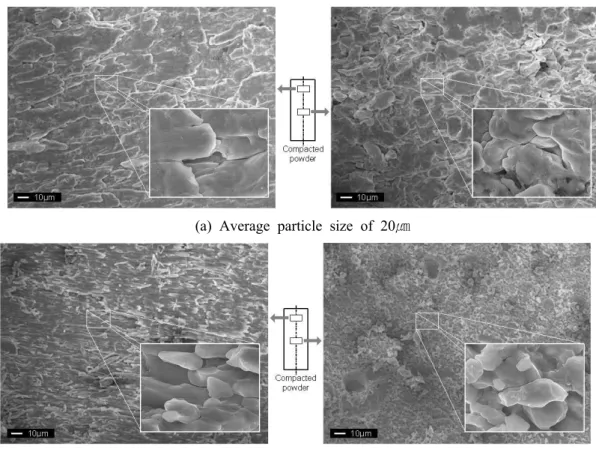 Fig. 12 SEM images of compacted powders with average particle size of 20 and 3 ㎛ after compaction tests