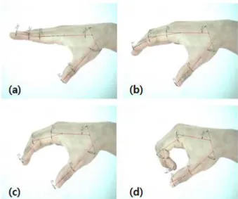 Fig. 1 Geometry of a human hand -   ,   ,  