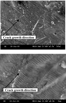 Fig. 9 Observation of striations by using 