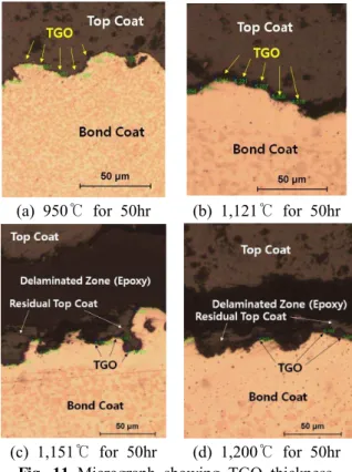Fig. 12 Measured thickness of TGO(a) As-sprayed(b) 1,100℃for 10hr