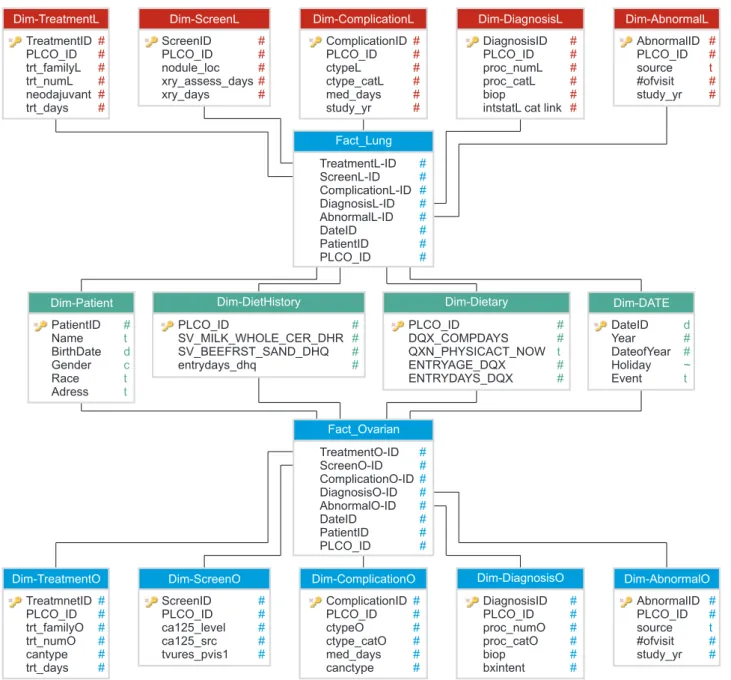 Figure 4. Lung and ovarian cancer clinical data warehouse fact constellation schema model.