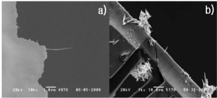 Fig. 3 The dispersed nanostructure on the TEM grid ; (a) CNT (b) ZnO nanorod