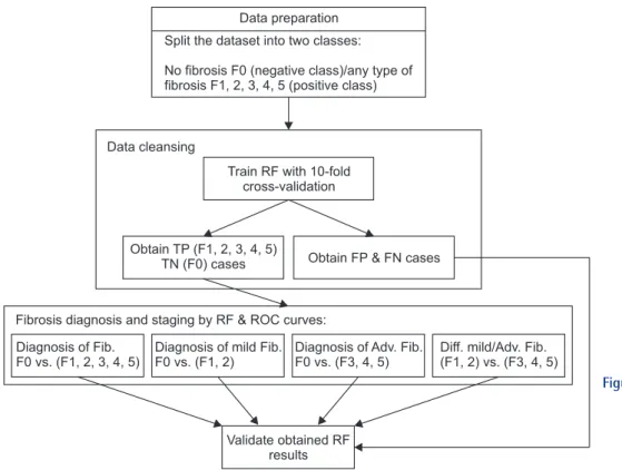 Figure 1.   Steps in the proposed meth- meth-od. RF: random forest, TP: 