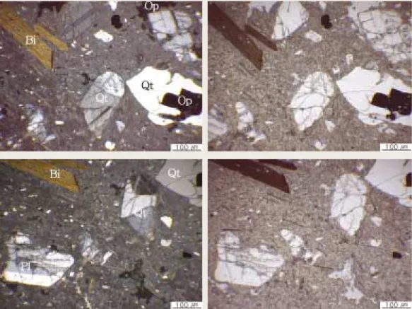 Fig 1.  Result of XRD analysis