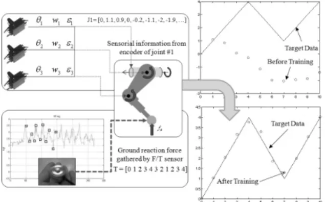 Fig.  6  Brief  verification  of  virtual  sensor  using  encoder  and ground reaction force sensor 