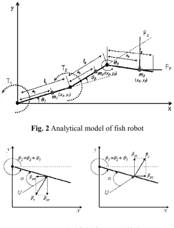 Fig. 1 Carangiform locomotion style 