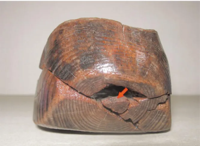 Fig. 1. Pith observated in back of sabot.
