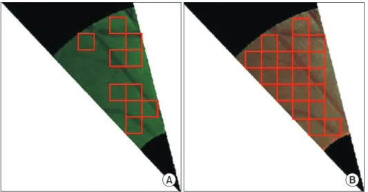 Figure 5 compares RNFL detection results obtained us- us-ing three different classifiers in several sub-sectors: BPNN,  SVM, and k-NN