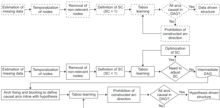 Figure 1.  Process used to construct a hypothesis-driven (solid line) and a data-driven structure (dotted line)