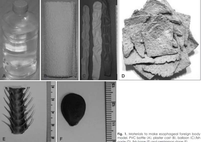 Fig. 1. Materials to make esophageal foreign body  model. PVC bottle (A), plaster cast (B), balloon (C),fish  paste (D), fish bone (E) and persimmon stone (F)