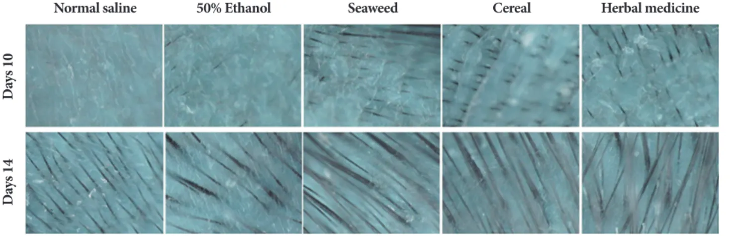 Table 3. Comparison of density and thickness after topical application of seaweed, cereal and herbal medicines for 2 weeks