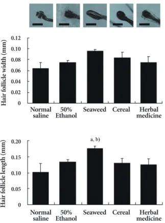 Fig. 5.  Histologic observation of hair growth after topical application of seaweed, cereal, and herbal medicines for a period of 2 weeks (H&amp;E, × 100)