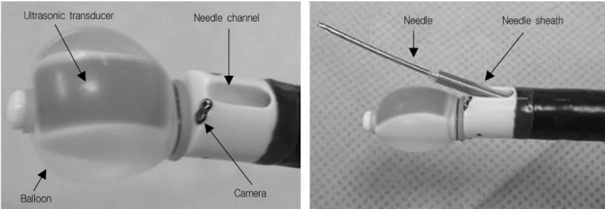 Fig. 1. EBUS-TBNA 기관지 내시경(BF-UC260F-OL8; Olympus)