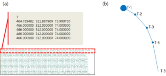 그림 9. Particle simulator data file(.ptc) structure(a)  and 3D particle shape(b)