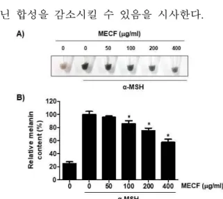 Figure  6.  Effect  of  MECF  on  the  activity  of  tyrosinase  and  expression  of  tyrosinase,  TRP-1,  TRP-2  and  MITF  in  B16F1 0  melanoma  cells