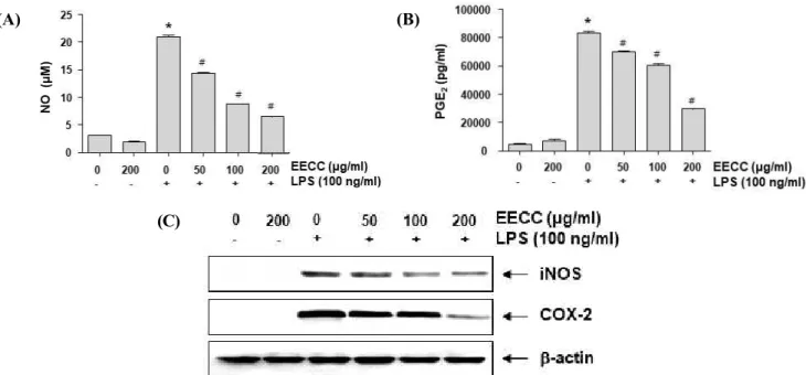 Figure  2.  Suppression  of  NO  and  PGE 2   production,  and  iNOS  and  COX-2  expression  by  EECC  in  LPS-stimulated  BV2  microglial  cells