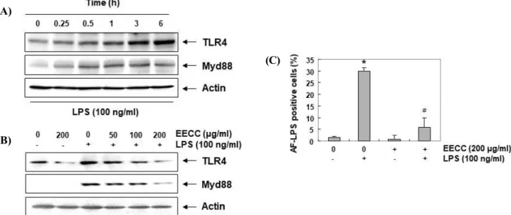 Figure  5.  Attenuation  of  the  LPS-induced  expression  of  TLR4  and  Myd88,  and  interaction  between  LPS  and  TLR4  by  EECC  in  BV2  microglial  cells