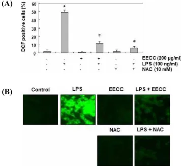 Figure  6.  Inhibition  of  LPS-induced  ROS  generation  by  EECC  in  BV2  microglial  cells