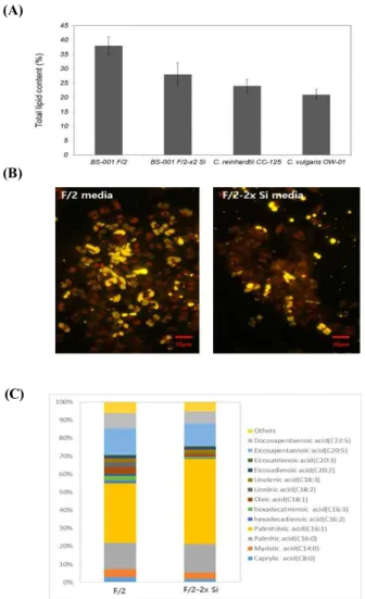 Figure  4.  Lipid  analysis  of  Achnanthidium  sp.  BS-001 (A)  total  lipid  content,  (B)  nile  red  staining  and  (C)  FAME  composition