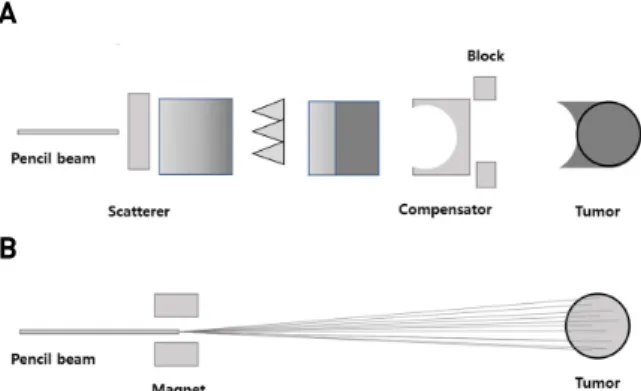 Fig. 1. Physical properties of a proton beam. SOBP, Spread-out  Bragg Peak.