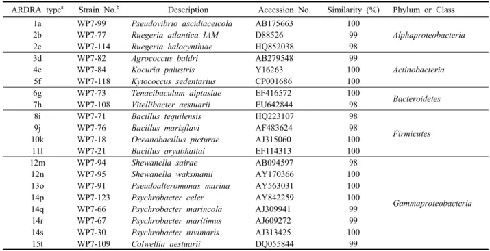 Table  2.  ARDRA  fingerprinting  types  and  sequence  similarities  of  16S  rRNA  gene  from  bacterial  strains  isolated  from  the  marine  sponge  P