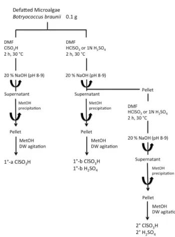Figure  1.  Extraction  of  polysaccharide.
